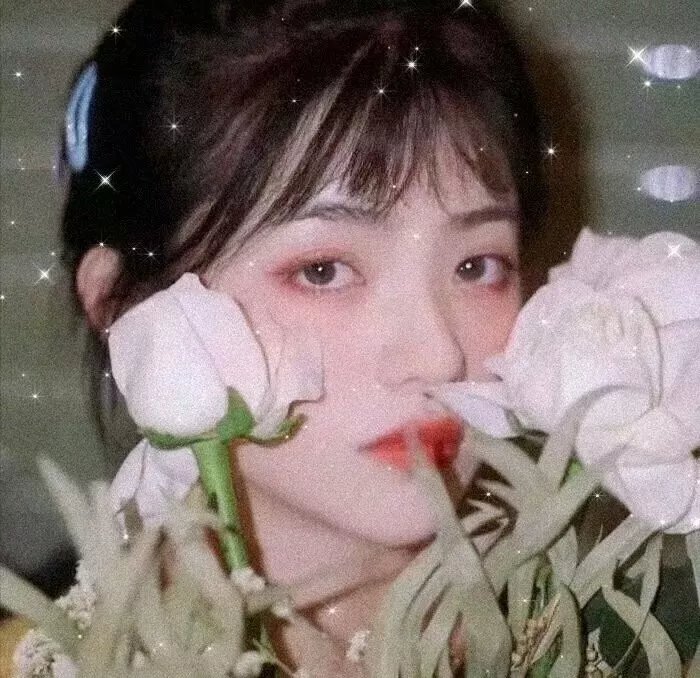 上海狂想曲