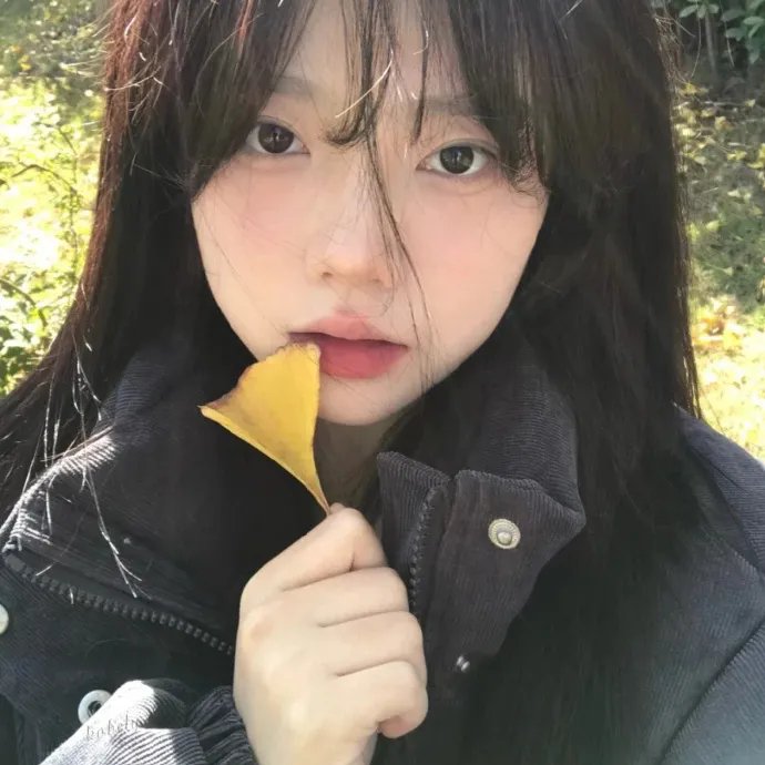 热带风暴